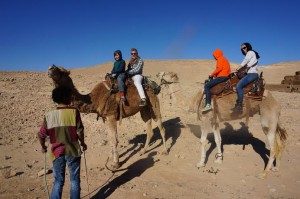 Bedouin camel ride